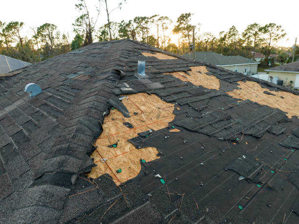 Best Solar Panel Roofing Installation  in Lebanon, PA